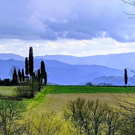 TUSCANY FLORENCE HILLS garden&Pool Vicchio Buitenkant foto