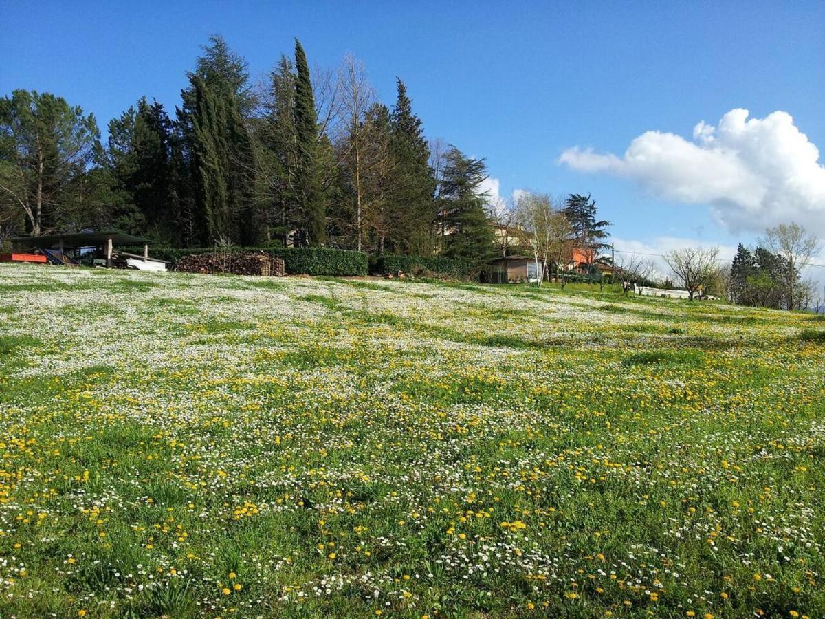 TUSCANY FLORENCE HILLS garden&Pool Vicchio Buitenkant foto