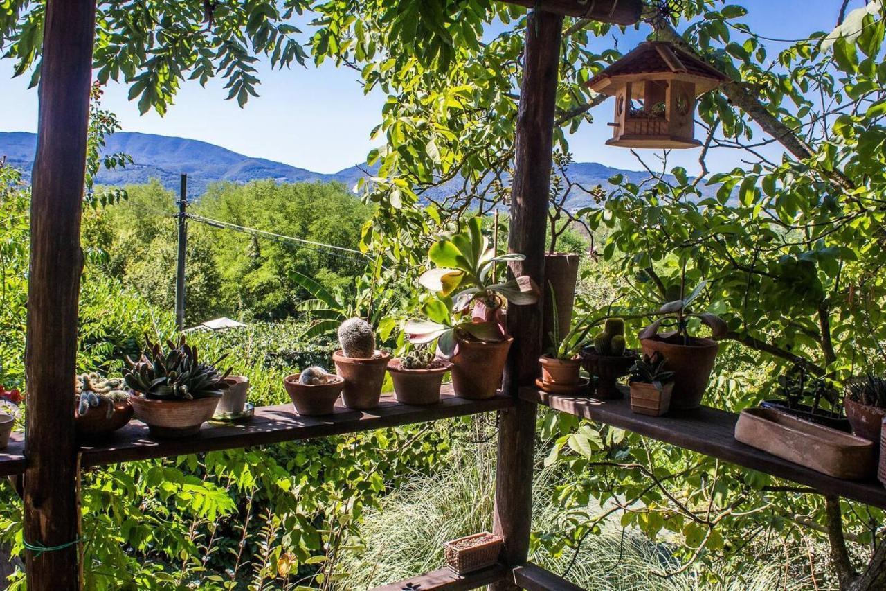 TUSCANY FLORENCE HILLS garden&Pool Vicchio Buitenkant foto