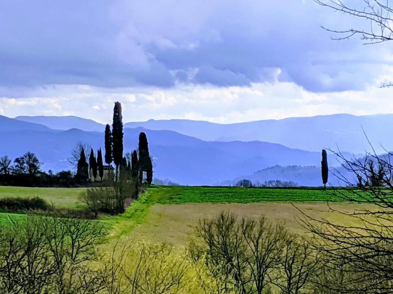 TUSCANY FLORENCE HILLS garden&Pool Vicchio Buitenkant foto